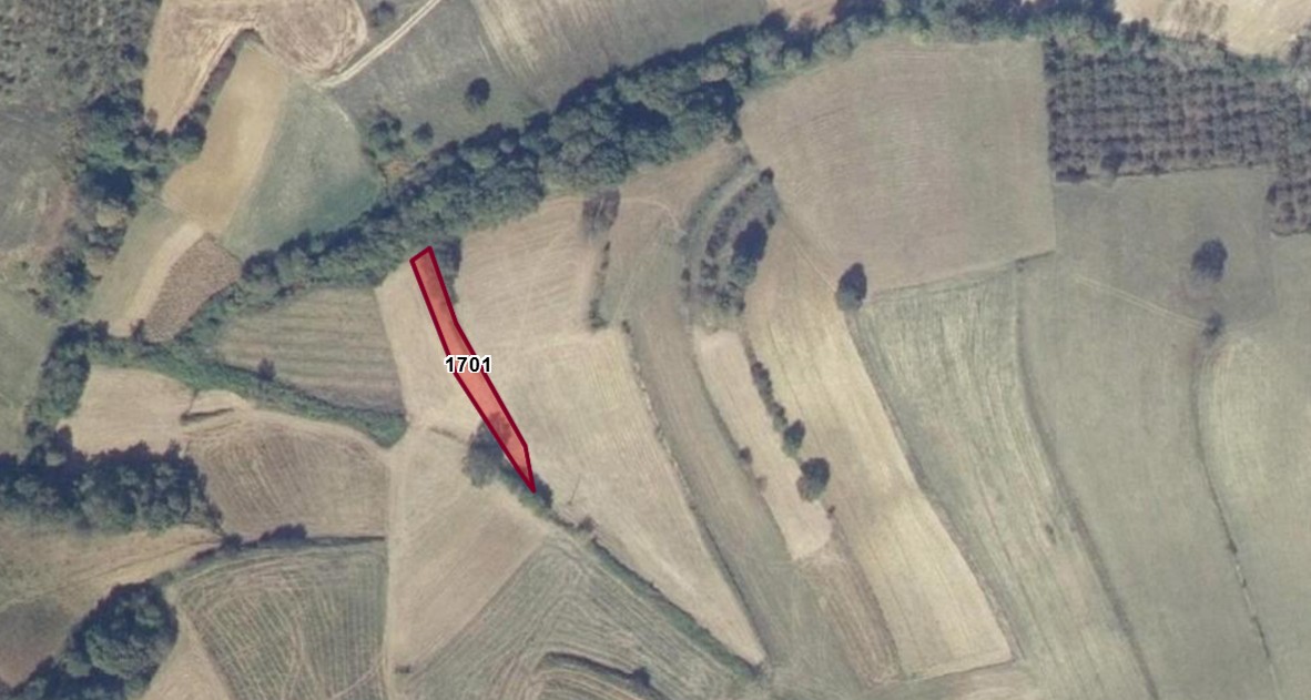 İlan Fotoğrafı